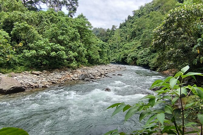 3D2N Jungle Trek | 2 Night accommodation | Pick up and drop off - What the $404.32 price really covers