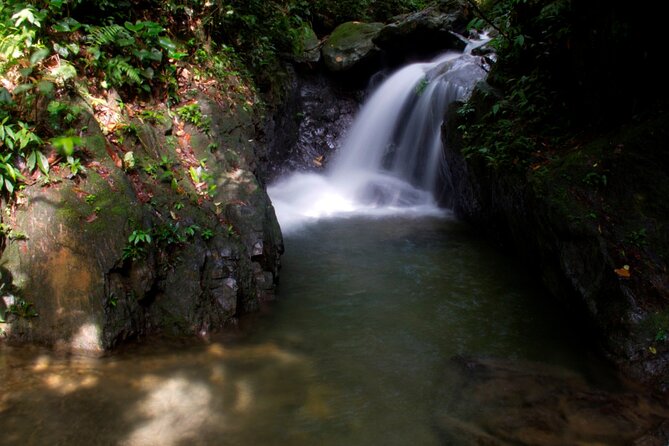3D2N Jungle Trek | 2 Night accommodation | Pick up and drop off - Fitness, weather, and what to pack