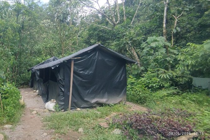 3D2N Jungle Trek | 2 Night accommodation | Pick up and drop off - The best parts, and the fair warnings