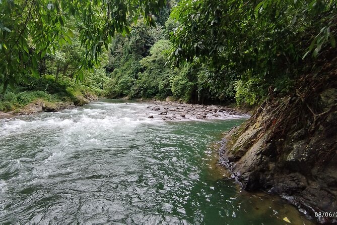 3D2N Jungle Trek | 2 Night accommodation | Pick up and drop off - Day two, first steps into the rainforest