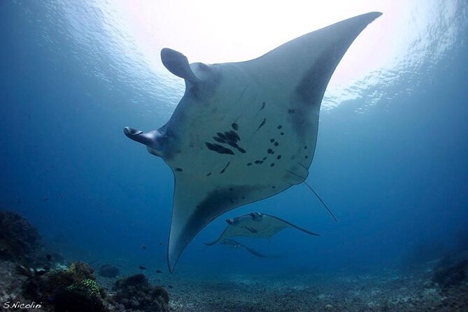 3D2N Sailing Komodo Living on Board Fiday to Sunday (Labuan Bajo) - Who will enjoy this Komodo sailing trip?