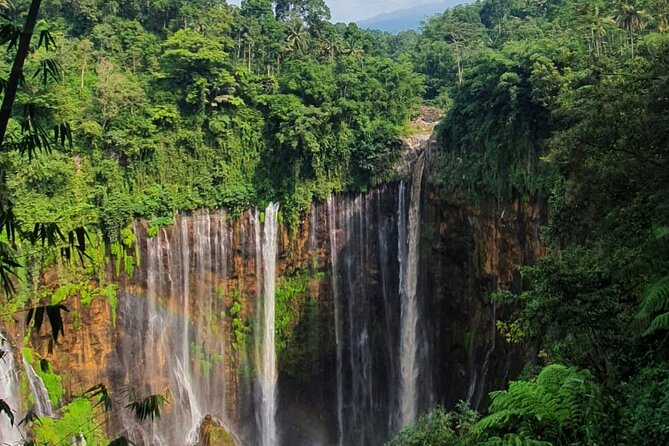 3Days - Tumpaksewu Bromo Ijen Adventure via Malang or Surabaya - Guides, drivers, and the private experience