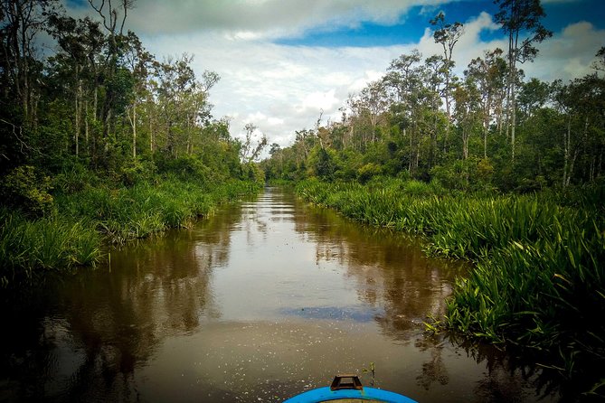 3ns Private Orangutan and Bornean Primates Kelotok Tour - Four days where the river is your route