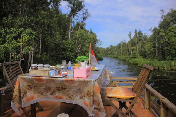 3ns Private Orangutan and Bornean Primates Kelotok Tour - Day two: Camp Leakey and the orangutan story