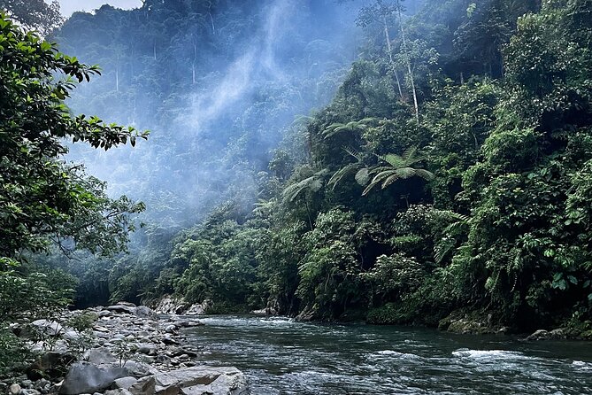 4 Day Jungle Adventure including 2 day trek - Day two: five to six hours in Gunung Leuser