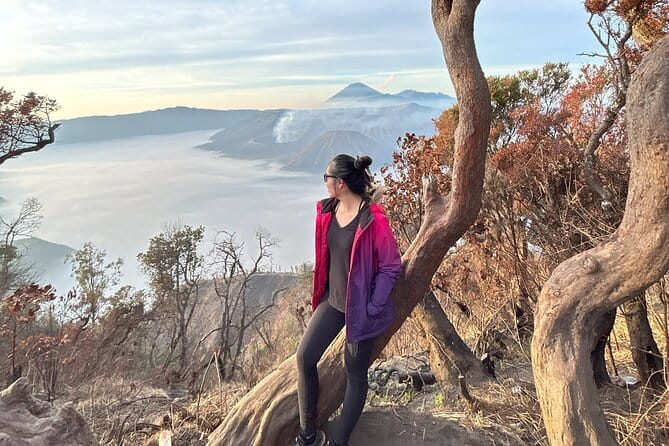 4 Days Bromo Ijen Tumpak Sewu from Surabaya Malang Banyuwangi - Jodipan Village or Lawang Tea Plantation