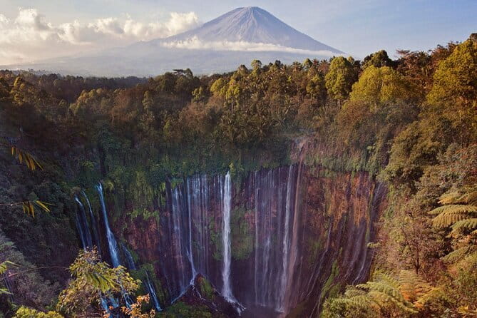4 Days Bromo Ijen Tumpak Sewu from Surabaya Malang Banyuwangi - Day 1: The long road to Ijen Crater