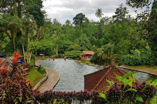 4-Hour Private Tour in Jatiluwih Terraces and Butterfly Park - Penatahan Hot Spring: a warm finish in the countryside