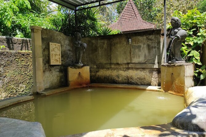 4-Hour Private Tour in Jatiluwih Terraces and Butterfly Park - Why the private car matters on Bali’s roads