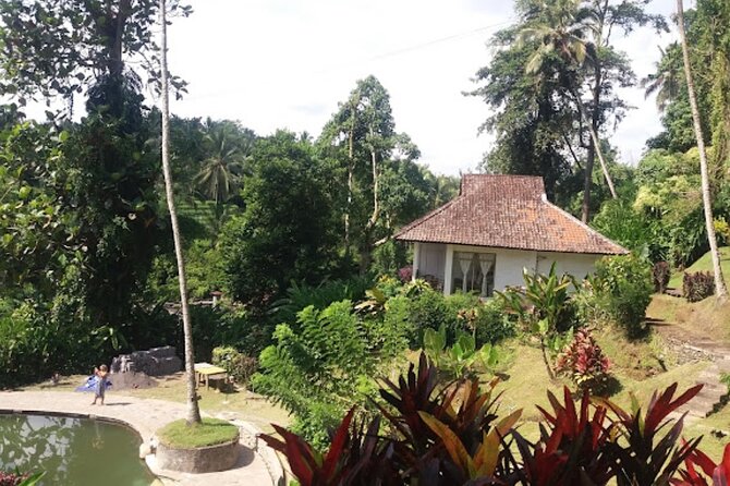 4-Hour Private Tour in Jatiluwih Terraces and Butterfly Park - Booking details worth checking