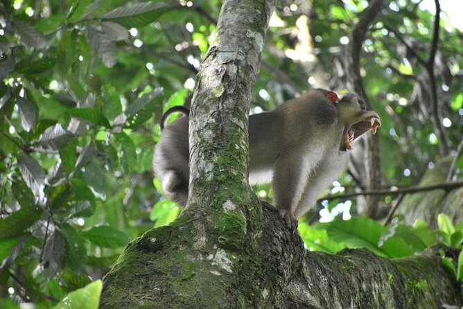 5 Days North Sumatra Adventure : Bukit Lawang & Mount Sibayak - From Medan to Bukit Lawang by road