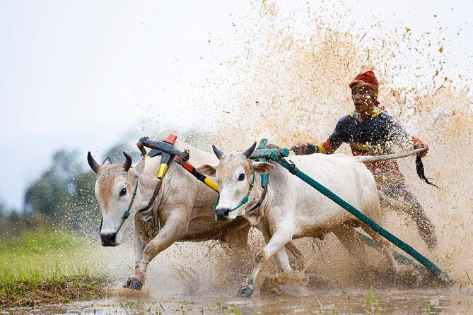 5-Days Private Tour in West Sumatera - Day 3: Bull racing, palace rooms, and the village of Pariangan