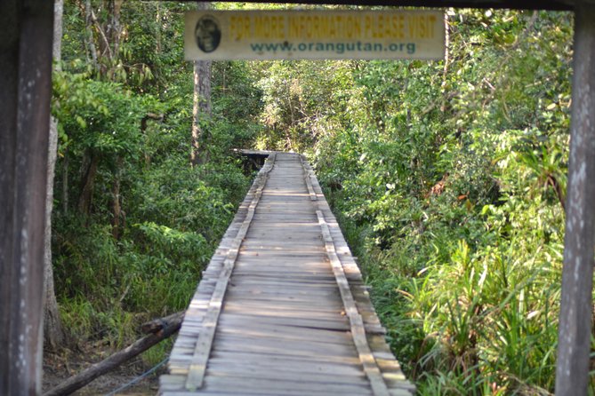 5 Days Truly Orangutan Wildlife Jungle Trail - Day 2: Pondok Tanggui, Camp Leakey, and a side creek