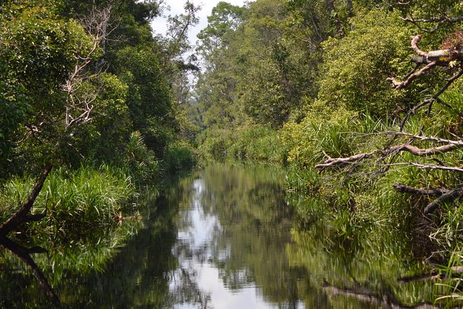 5 Days Truly Orangutan Wildlife Jungle Trail - What the $800 price really covers