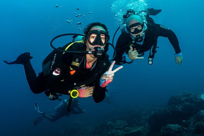 5 Fun Dives in Pemuteran (for certified divers) - Exploration in Menjangan Park - Who will enjoy this most