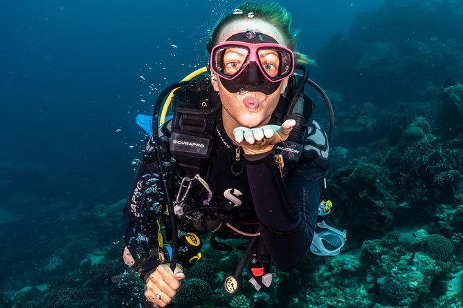 5 Fun Dives in Pemuteran (for certified divers) - Exploration in Menjangan Park - From the Pemuteran center to the wooden boat