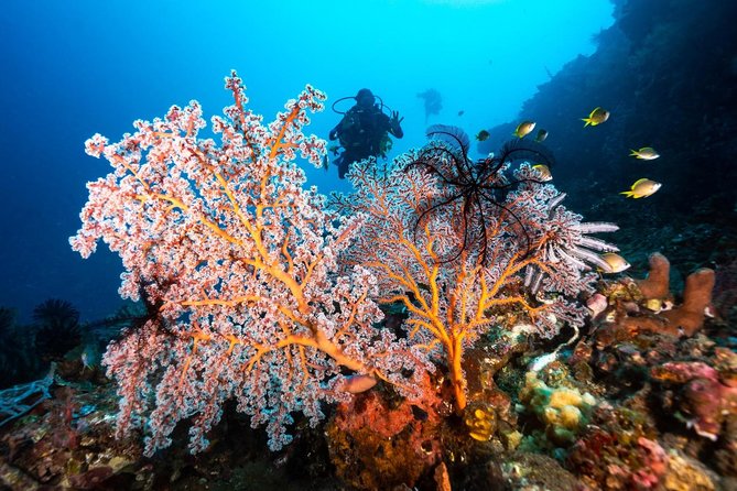 5 Fun Dives in Tulamben (for certified divers) - Discover famous diving sites - How the two-day plan really works
