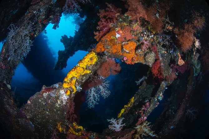 5 Fun Dives in Tulamben (for certified divers) - Discover famous diving sites - Certification and fitness requirements