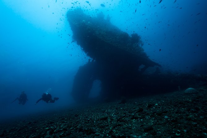 5 Fun Dives in Tulamben (for certified divers) - Discover famous diving sites - Tulamben Beach, Coral Garden, and the lava Drop-off