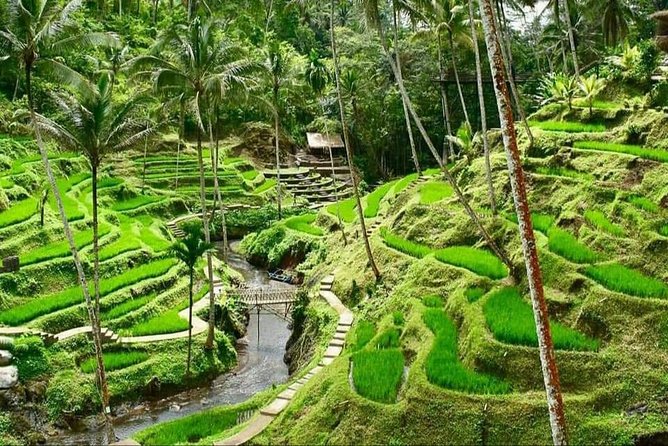 6 Days Best Of Bali And Nusa Penida All Inclusive Private Tour - Day one: beaches, Uluwatu cliffs, and the Kecak fire dance