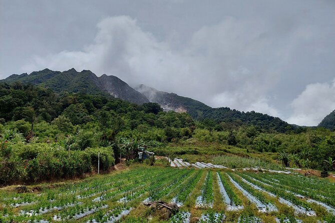 7 Days 6 Nights North Sumatra Tour (Bukit Lawang-Berastagi-Lake Toba) - Day 7: returning to Medan or the airport