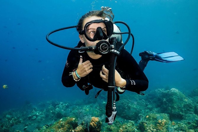 7 Fun Dives in Nusa Lembongan (for certified divers) - Premium Value Package - Mangrove Point, Toyapakeh, and Jungut Batu Beach
