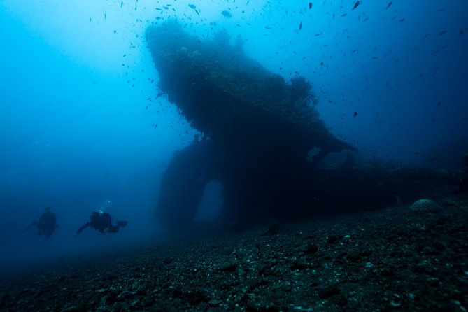 7 Fun Dives in Tulamben (for certified divers) - Premium Value Package - Starting at Dive Concepts Tulamben