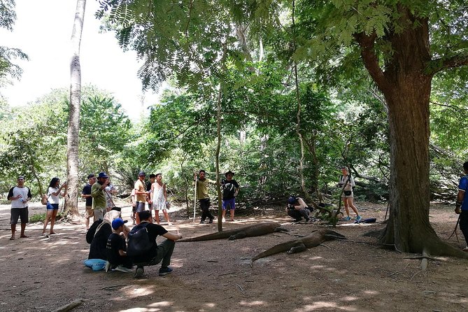 A Day to Komodo Island - Komodo Island: the ranger sets the rules