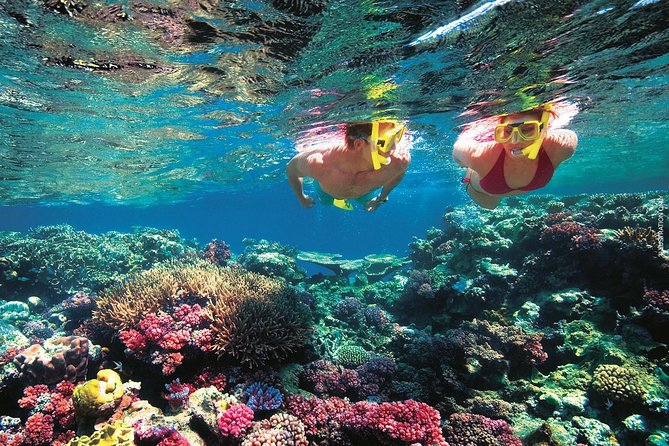 A Day to Komodo Island - The pace, boat, and practical comfort
