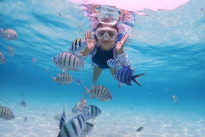 (ALL- IN) Bali Snorkeling Blue Lagoon with Waterfall Visit - Blue Lagoon around noon
