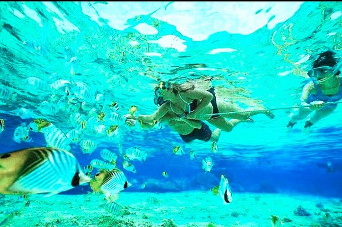 All Inclusive : Bali Blue Lagoon Snorkeling, Lunch, and Transport - Optional add-ons can turn a short outing into a full day