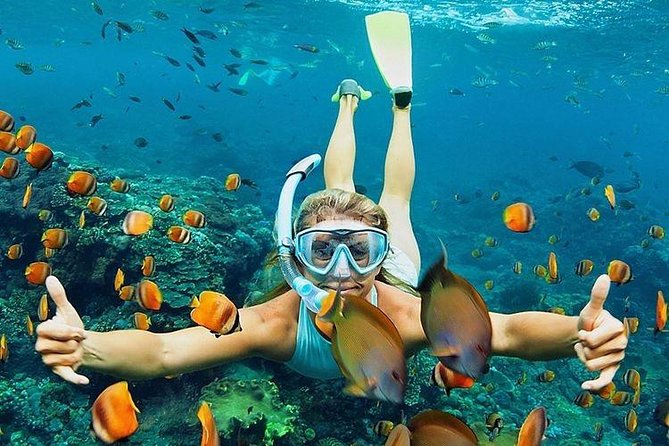 All Inclusive : Bali Blue Lagoon Snorkeling, Lunch, and Transport - Tanjung Jepun adds another reef view
