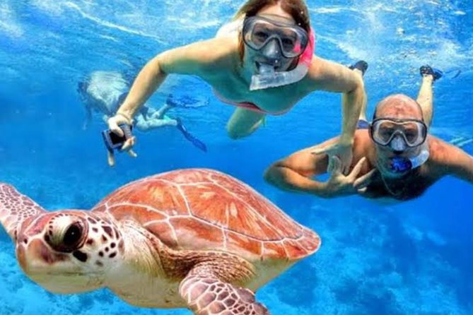All Inclusive Bali Blue Lagoon Snorkeling with Lunch and Transport - Tanjung Jepun Gives You an Easy Start
