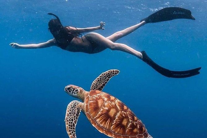 All Inclusive : Bali Blue Lagoon Snorkeling with Lunch &Transfers - Key points to know