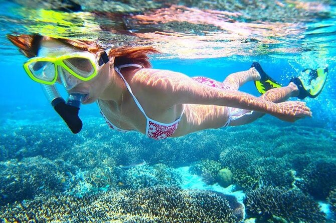 All Inclusive : Bali Blue Lagoon Snorkeling with Lunch &Transfers - What the private format really means