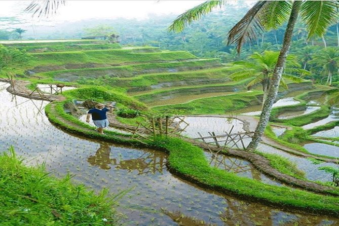 ALL INCLUSIVE - Bali Gate Of Heaven Tour - Is $75 good value?