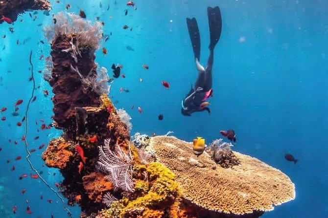 All Inclusive Bali Scuba Diving at Tulamben with Lunch -Transport - Meeting the instructor and preparing for the water