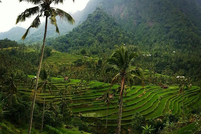All inclusive Bali Sekumpul Waterfalls Trekking Tour - Swimming, sliding, and what to pack
