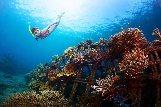 All-Inclusive Bali Snorkeling at Blue Lagoon Beach & ATV Ride - The optional Ubud extension