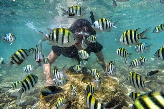 All Inclusive Bali Snorkeling Blue Lagoon tour experience - Returning to your hotel by 5:30 PM
