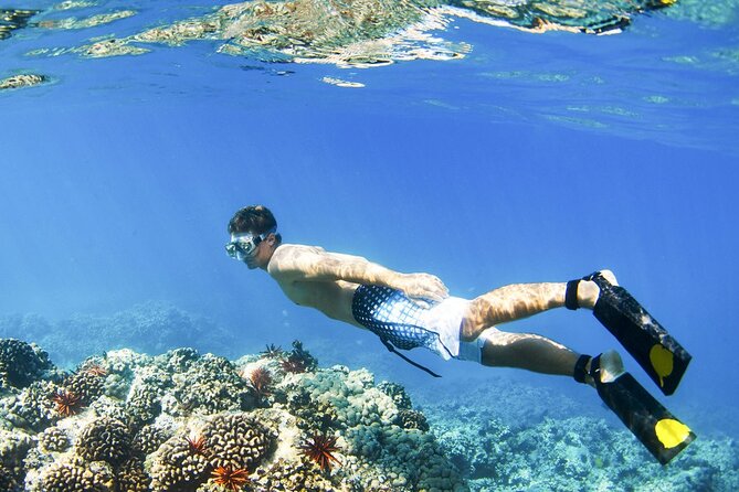 All Inclusive Blue Lagoon Snorkeling with Bali ATV Quad Adventure - Why combine an ATV ride with Blue Lagoon?