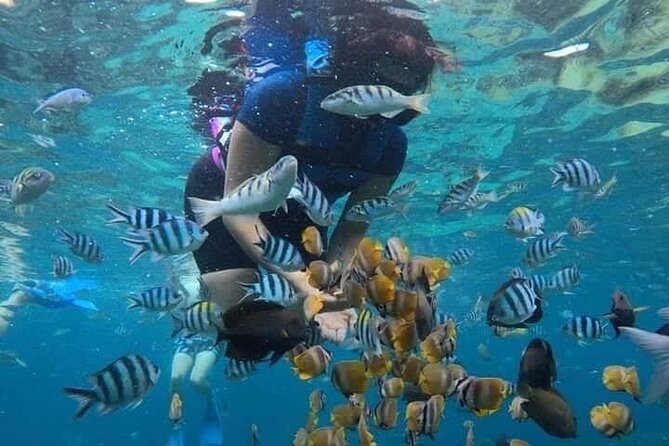 All Inclusive Blue Lagoon Snorkeling with Bali ATV Quad Adventure - Lunch and the real value of the $70 price