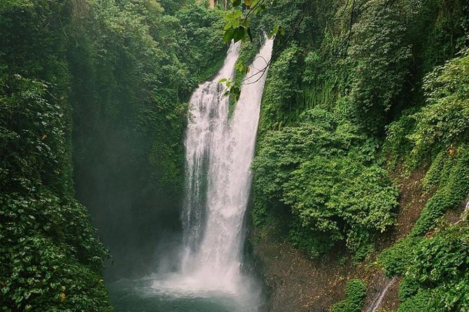 All Inclusive : Jumping Sliding at Aling- Aling Waterfall - Handara Gate - Lunch - Who should book this waterfall tour?