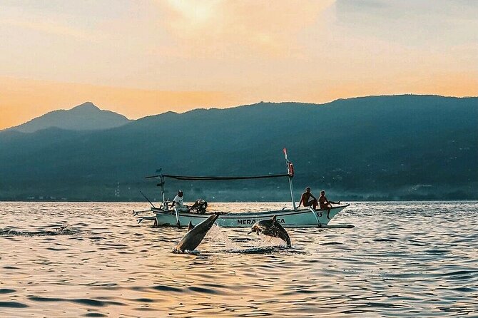 All inclusive Lovina Dolphins Sunrise tour, Waterfall & Temple - Who will enjoy this tour most