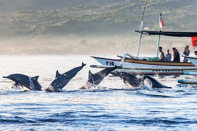 All inclusive Lovina Dolphins Sunrise tour, Waterfall & Temple - Practical ways to prepare