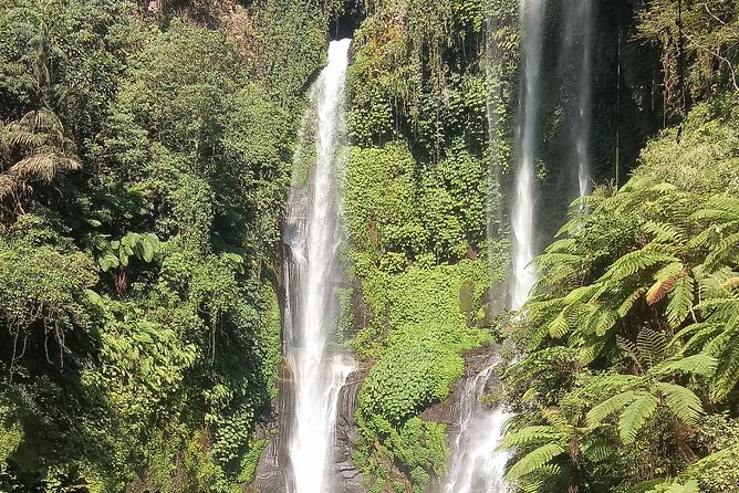 All Inclusive Sekumpul Waterfall Trekking , Handara Gate & Temple - Who should book this day trip
