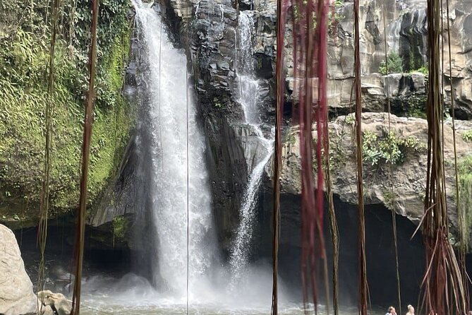 All Inclusive Ubud Cultural and Natural Highlights Tour - Meeting macaques at Sacred Monkey Forest Sanctuary