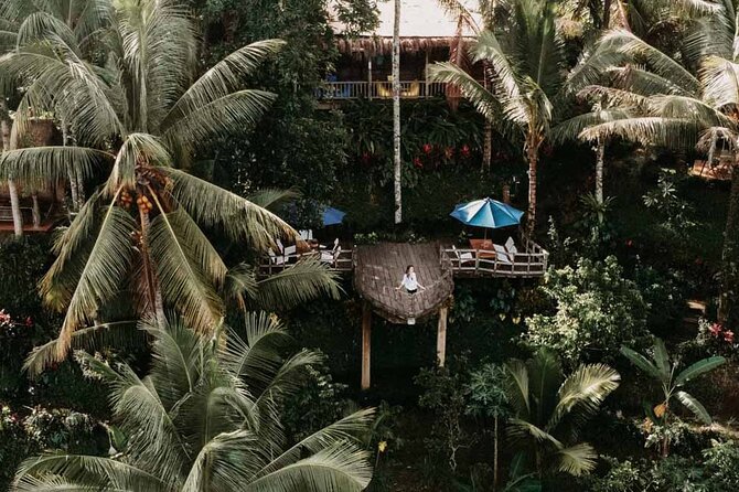 All-Inclusive Ubud Private Tour - The guide can make or break the day
