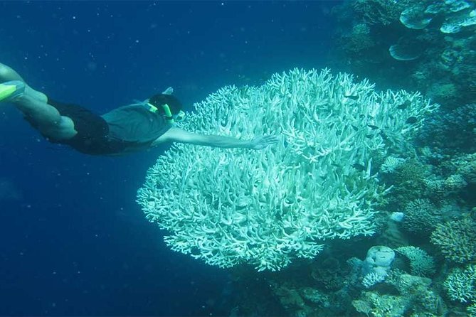 All Ticket Inclusive-Blue Lagoon Snorkeling-Ubud Monkey Forest & Ubud Waterfall - Tegenungan Waterfall: views or a walk to the water
