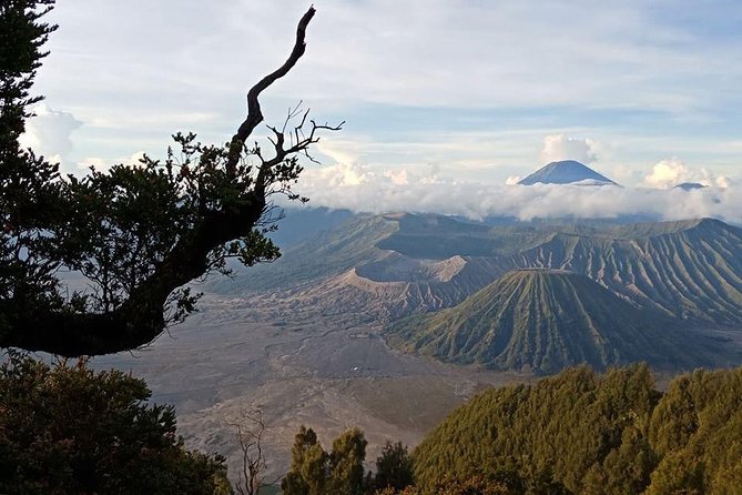 Amazing Bromo Madakaripura Waterfalls and Ijen - Day 2: Bromo sunrise by private 4x4 Jeep